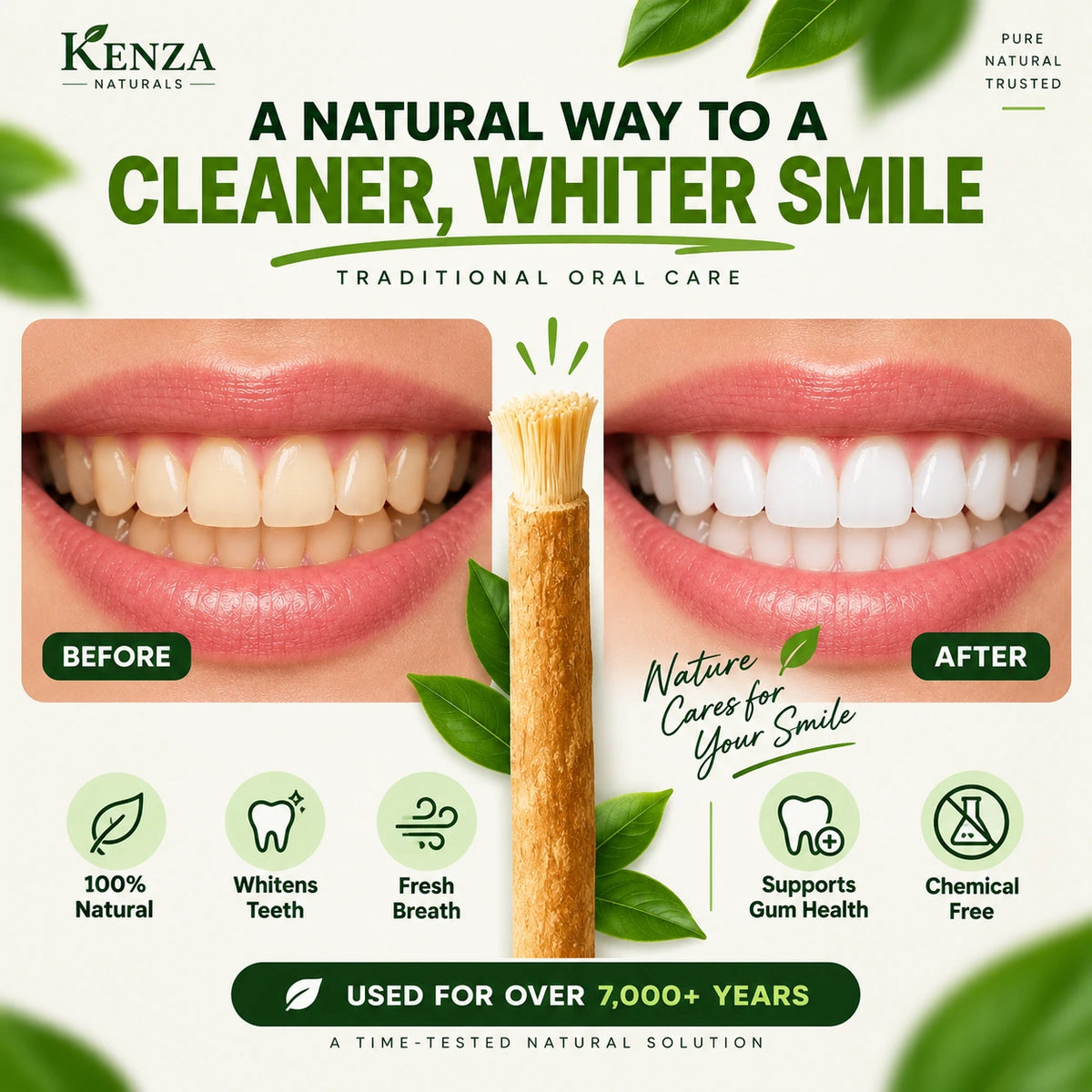 Natural Miswak stick for traditional oral care