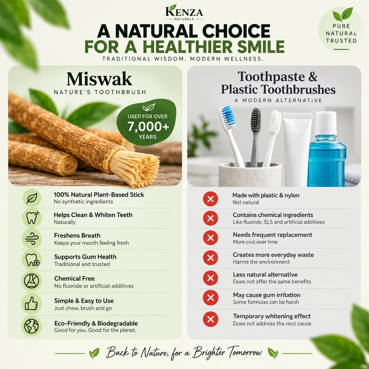 Plastic-free Miswak chewing stick from Kenza Naturals